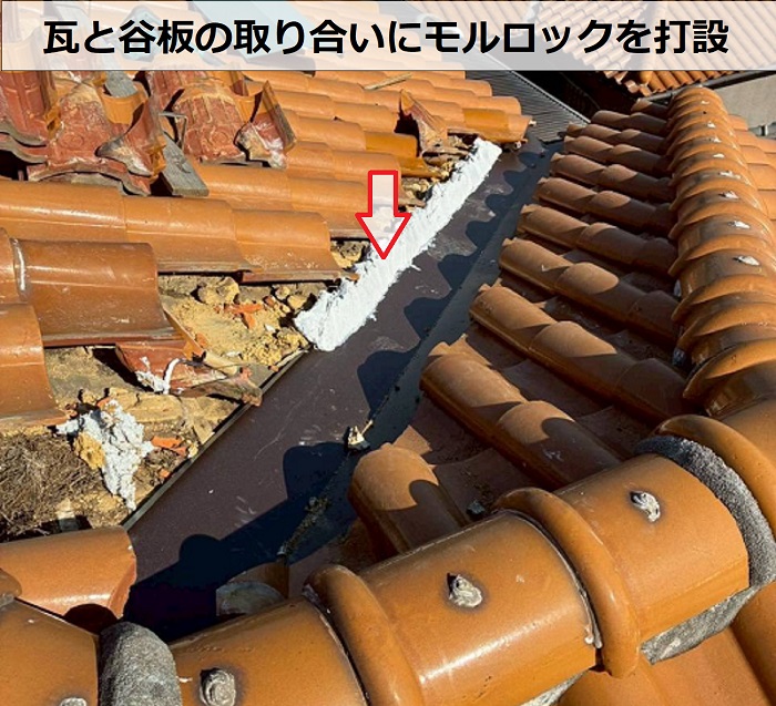 モルロック打設