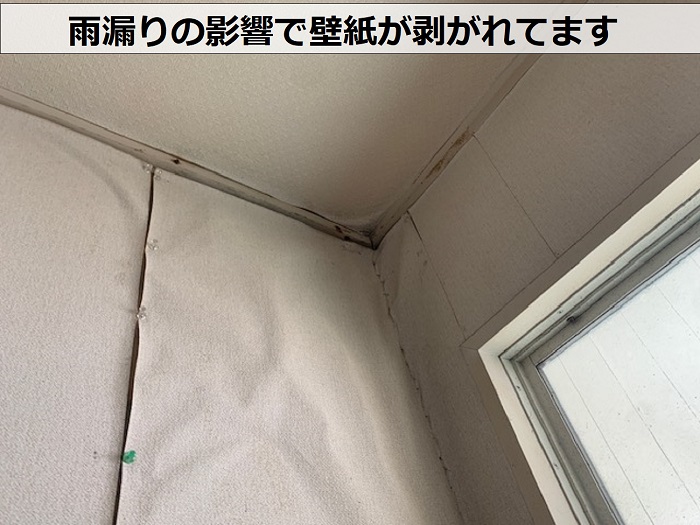 折板屋根からの雨漏りで店舗の壁紙が剥がれている様子