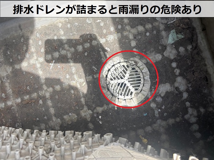 排水ドレン