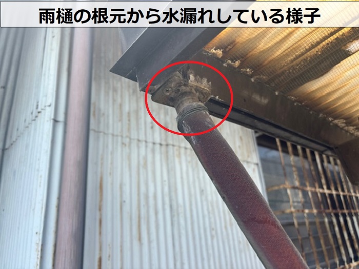 雨樋の根元から水漏れしている様子