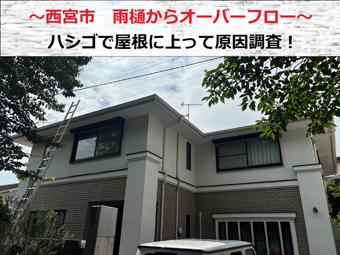 西宮市　雨樋からのオーバーフローで屋根にハシゴで上って原因調査！