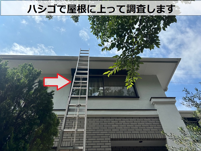 屋根にハシゴを掛けている様子