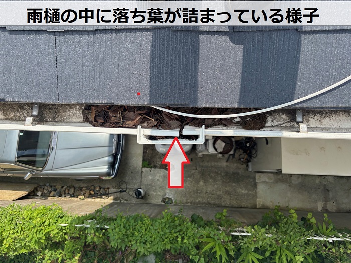 雨樋の中に溜まる落ち葉