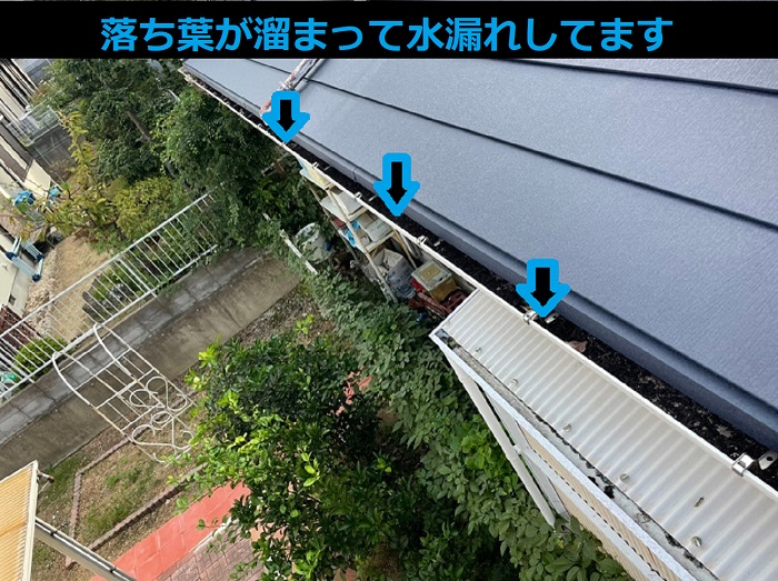 雨樋内部に落ち葉が溜まっている様子