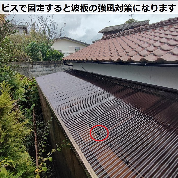 物置屋根のポリカ波板貼り替えでビス固定して強風対策している様子