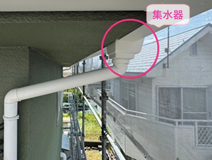 戸建て住宅の雨どい交換で集水器を取り付けて竪樋と接合している様子