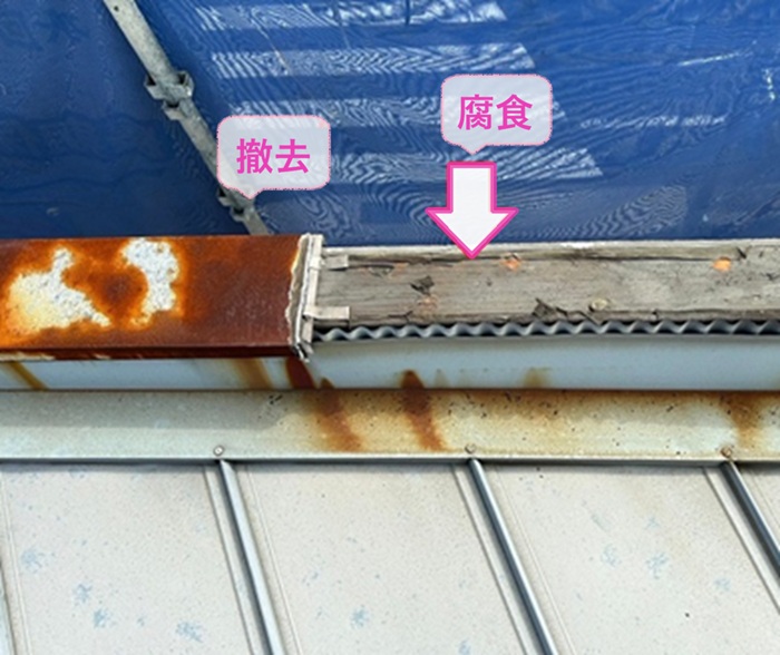 金属笠木の交換で既存の笠木を撤去すると下地材が腐食している様子