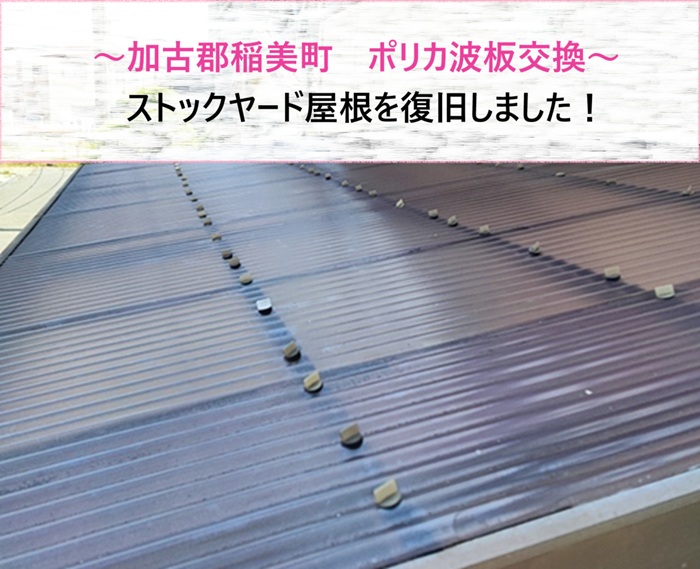 加古郡稲美町　ポリカ波板交換でストックヤード屋根を復旧【サキブログ】