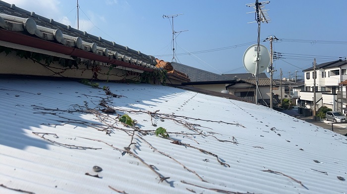 相生市で雹災害により破損した物置屋根をポリカ波板に貼り換える前の様子