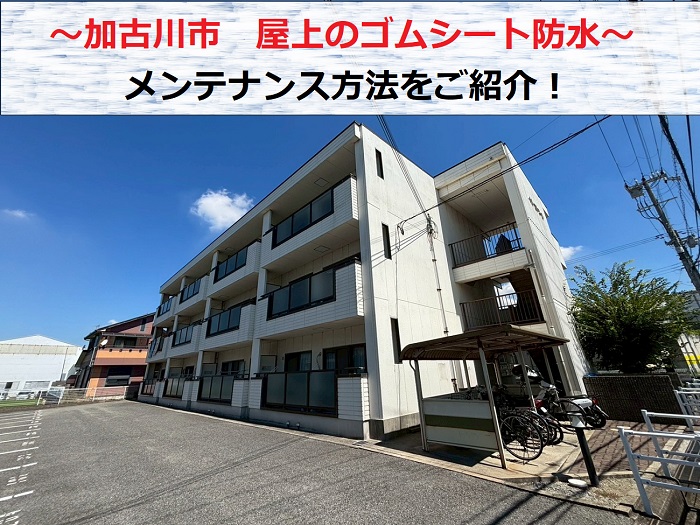 加古川市 鉄骨造屋上のゴムシート防水を無料点検!お勧めの防水工事は?