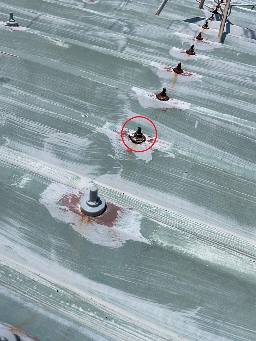 明石市でボルトの錆びた折半屋根の簡易的なメンテナンスを行う前の様子