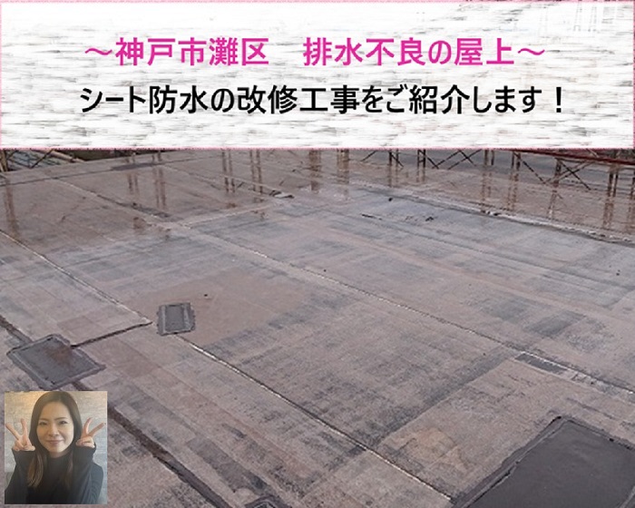 神戸市長田区　ビル陸屋根防水を塩ビシート機械固定で改修【サキブログ】