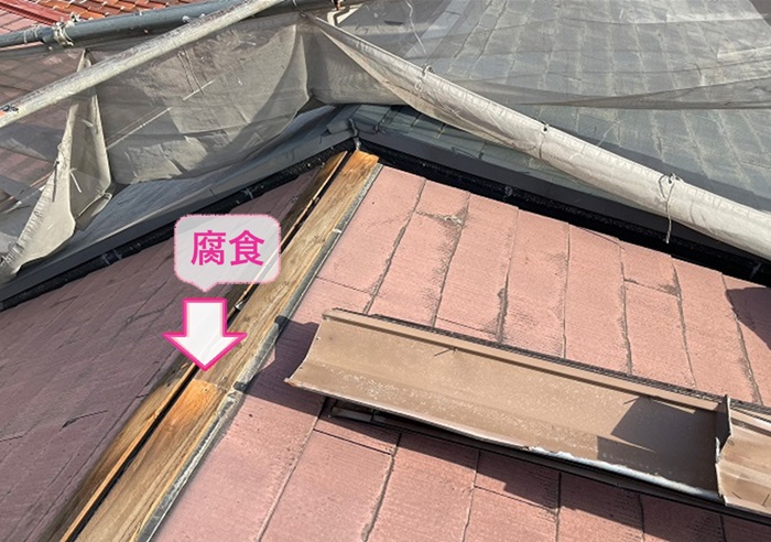 コロニアル屋根の既存の棟包みを撤去したら棟木が腐食してた様子