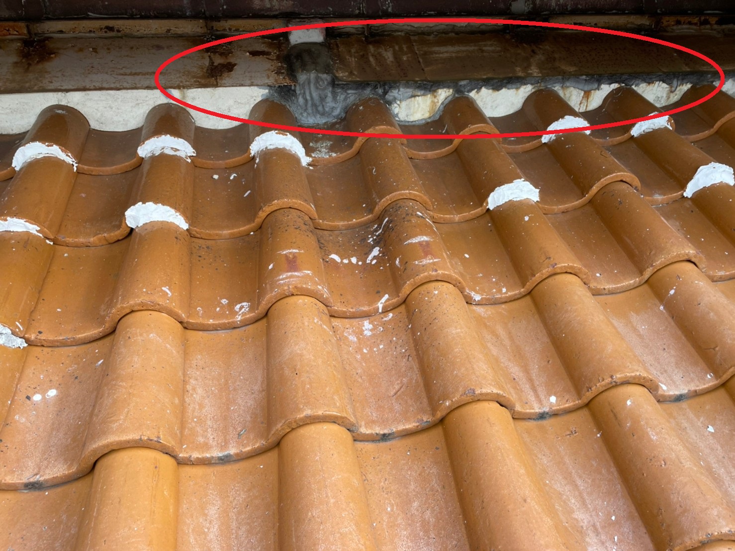 雨漏りの原因となっている下屋根の壁際