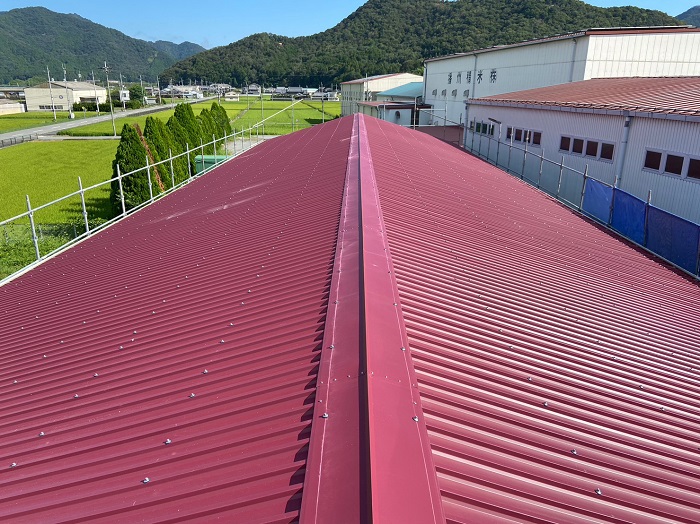 リファインボトムフラット屋根