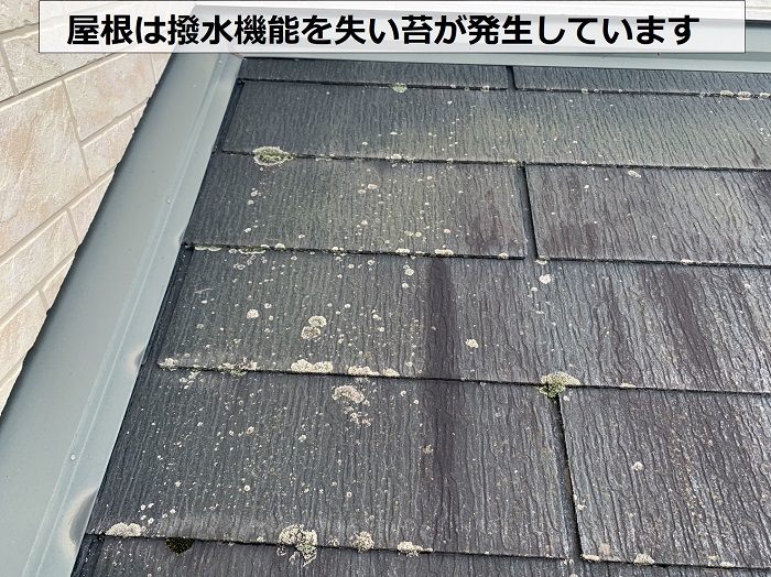 スレート屋根は撥水機能を失い苔が発生しています