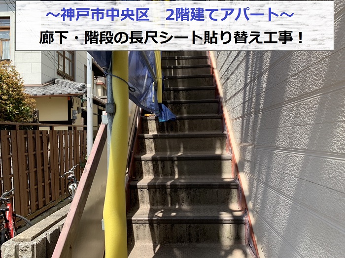 神戸市中央区でアパートの廊下・階段の長尺シートを貼り替える現場の様子