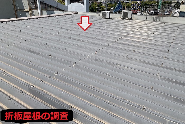 折板屋根の様子