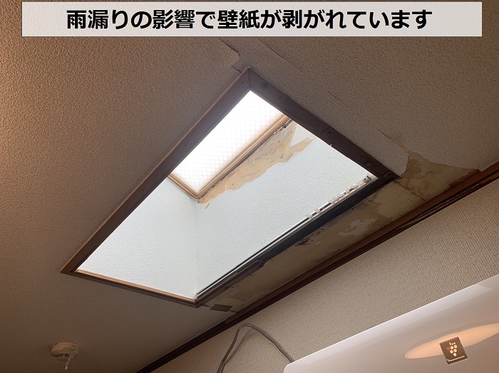 天窓からの雨漏りで壁紙が剥がれている様子