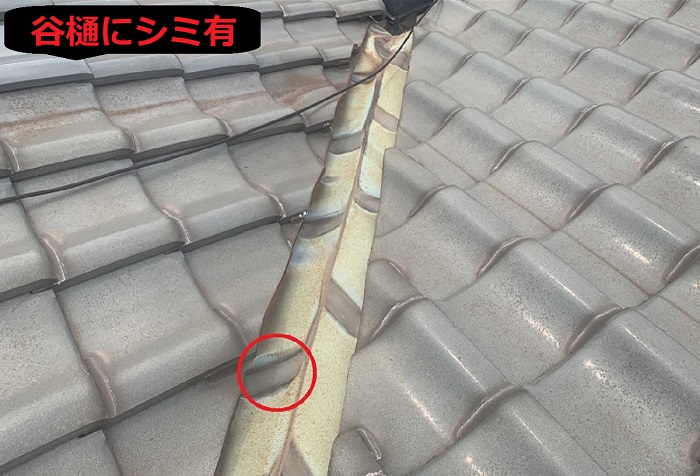 谷樋にシミ有