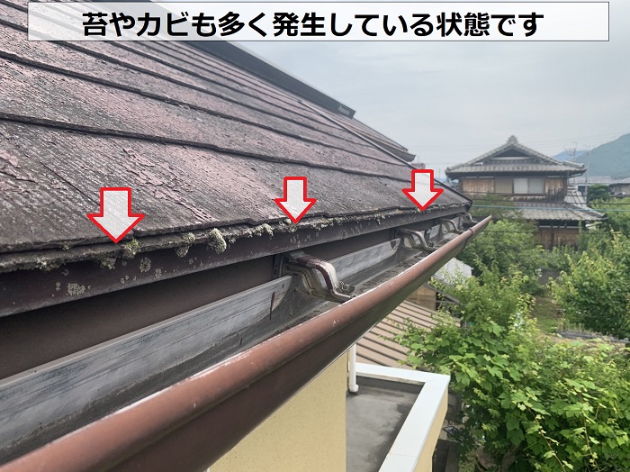 スレート屋根に苔やカビが多く発生している様子