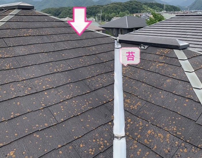 金属屋根を用いた重ね張り工事で既存の平型スレート屋根に苔が発生している様子