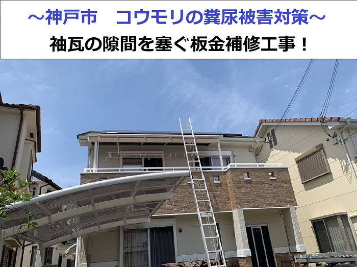 神戸市でコウモリの糞尿対策として袖瓦のすきまをふさぐ板金補修を行う現場の様子