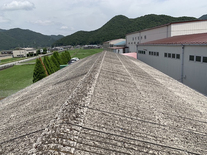 カバー工法した倉庫屋根