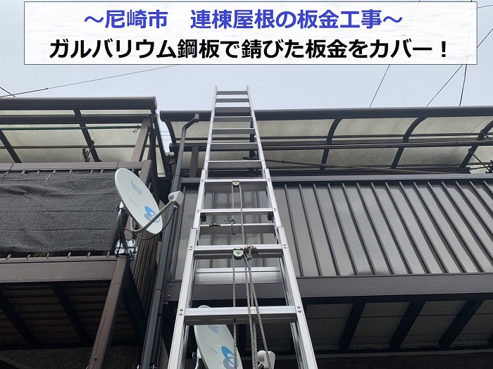 尼崎市で連棟屋根の板金工事を行う現場紹介