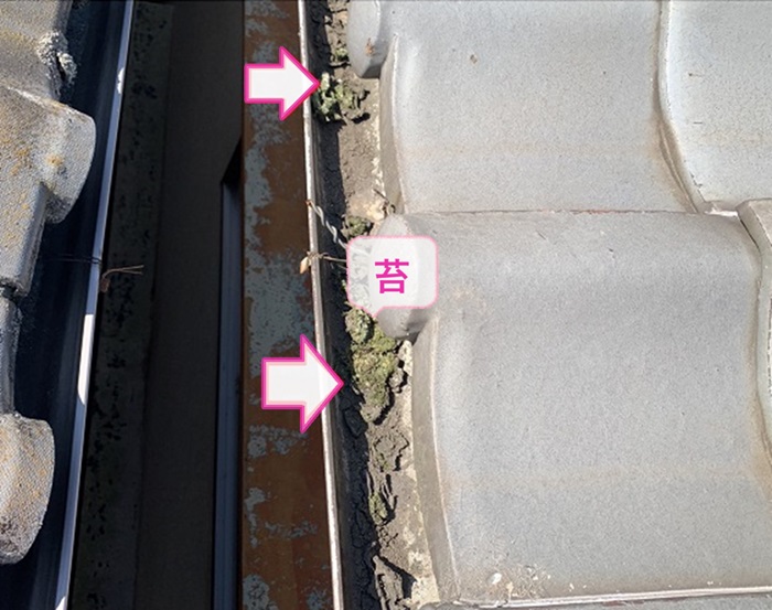 小野市の雨樋リフォームで既存の半丸樋の内部に苔が発生している様子