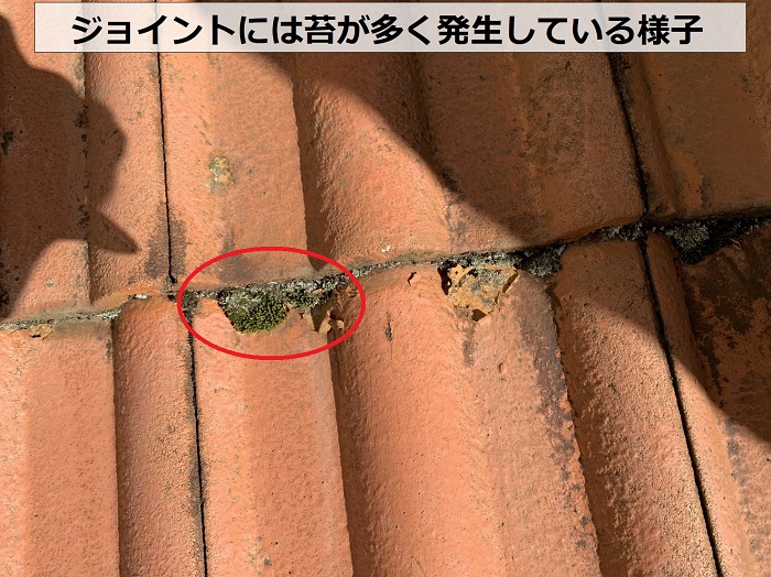 モニエル瓦屋根の無料点検で苔の発生を確認