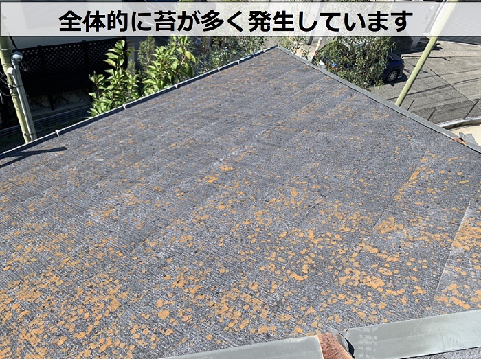 カバー工事を行う前のスレート屋根は苔が多く発生している様子