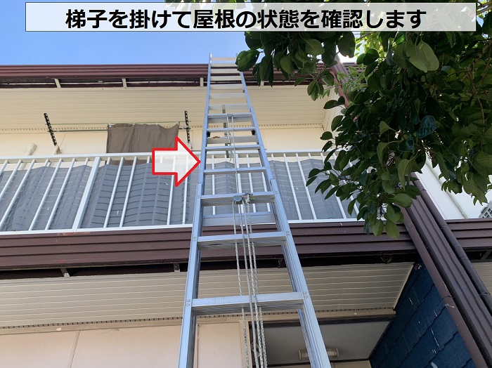 折半屋根の状態を確認するために梯子を掛けている様子