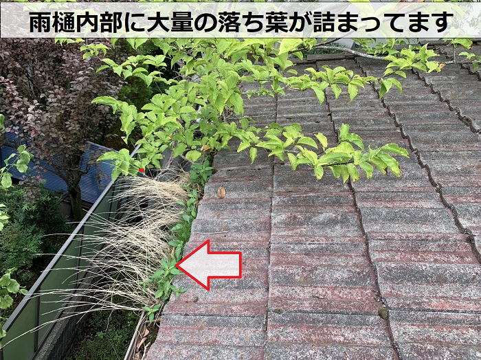 神戸市北区で雨樋交換工事を行う前は大量の落ち葉が詰まっている状態です