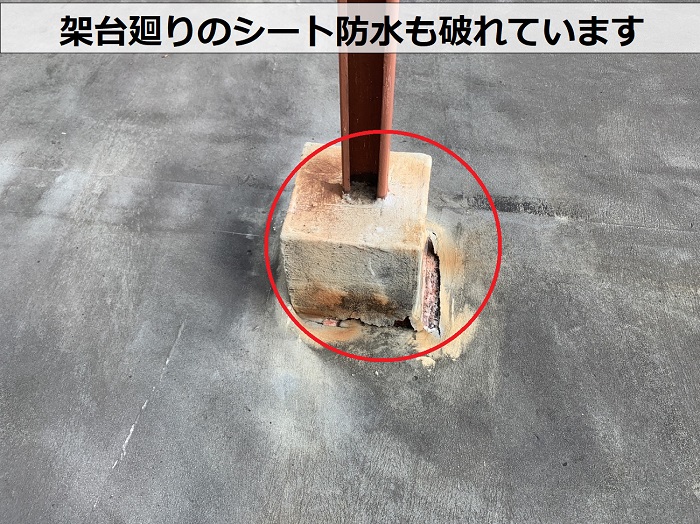 姫路市での陸屋根無料診断で架台廻りのシート防水が破れている様子