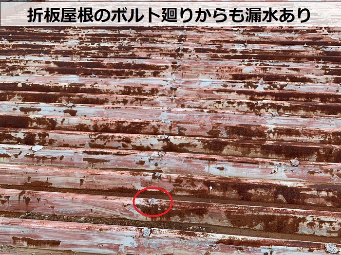 加東市の折板屋根無料調査でボルトからの漏水を確認