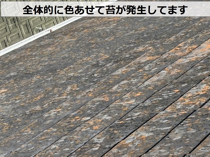 カラーベスト屋根は全体的に色あせて苔が発生している様子