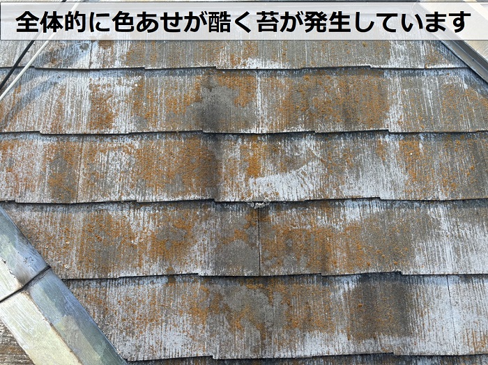神戸市須磨区で無料点検を行っている屋根は全体的に色あせが酷く苔が発生しています