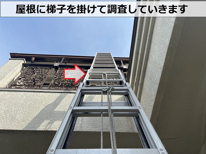 訪問業者に指摘された屋根の浮きを確認する為、梯子を掛けている様子