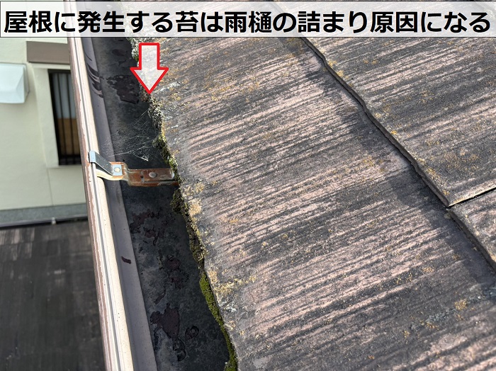 三木市で専門業者が無料調査を行っているスレート屋根には苔が発生している様子