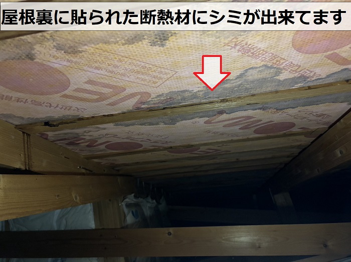 屋根裏に貼られている断熱材にシミが発生しています