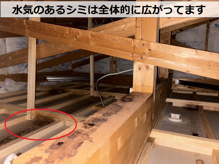 加古川市で屋根裏に発生するシミは全体的に広がっていました