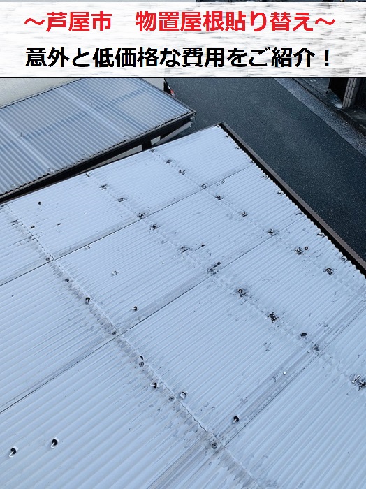 芦屋市　物置屋根のポリカ波板貼り替え！低価格な費用をご紹介