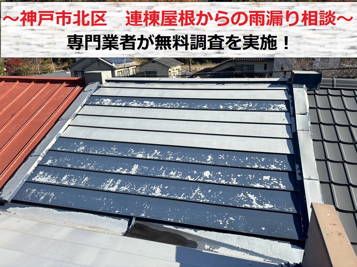 神戸市北区で連棟屋根の雨漏り無料調査を行う現場の様子