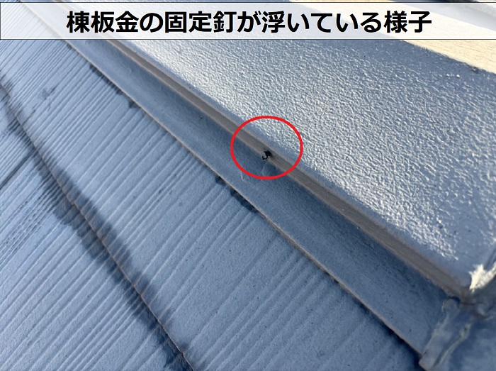 築３０年のカラーベスト屋根の無料調査で棟板金の固定釘が浮いているのを確認