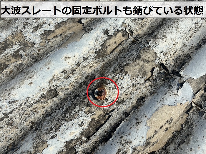 姫路市で倉庫の調査を行っているスレート屋根の固定ボルトが錆びている様子