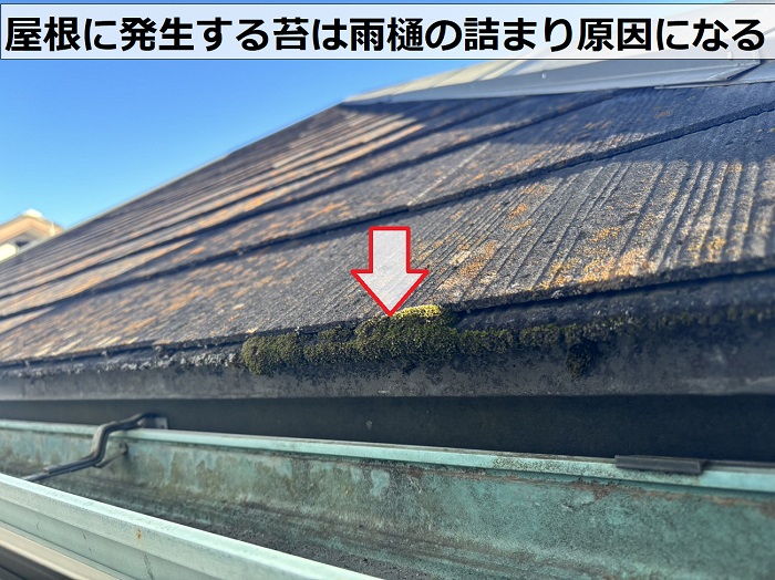 空き家の外装点検で屋根に発生する苔の状態をチェック