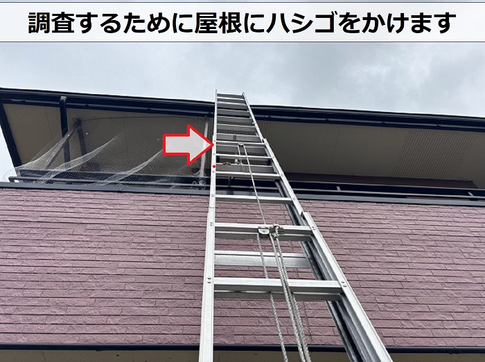 加古郡播磨町でノンアスベストのスレート屋根にハシゴを掛けている様子
