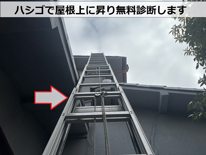 宝塚市で高台にある空き家の瓦屋根にハシゴを掛けている様子
