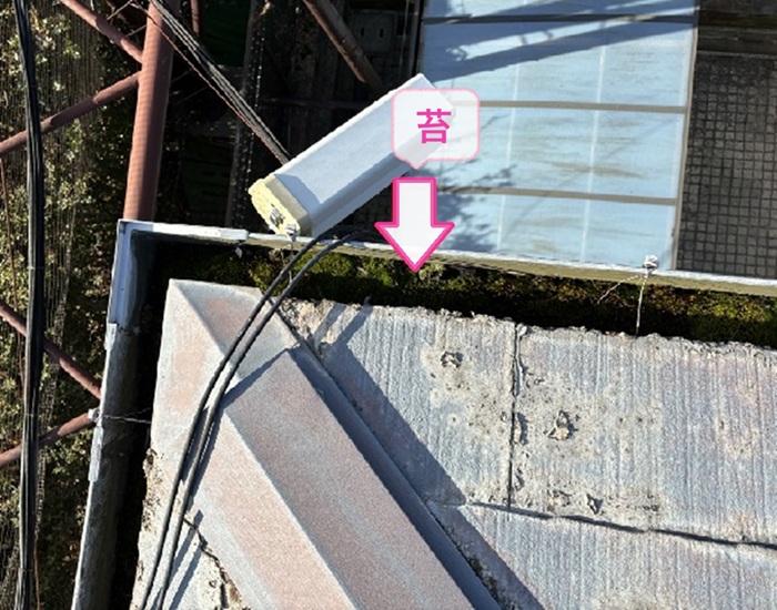 テナント建物の大型雨どいリニューアル工事で既存の雨樋内部に苔が溜まっている様子